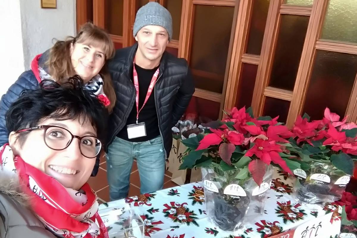 Airc Stella Di Natale 2020.Stelle Di Natale Ail Padova